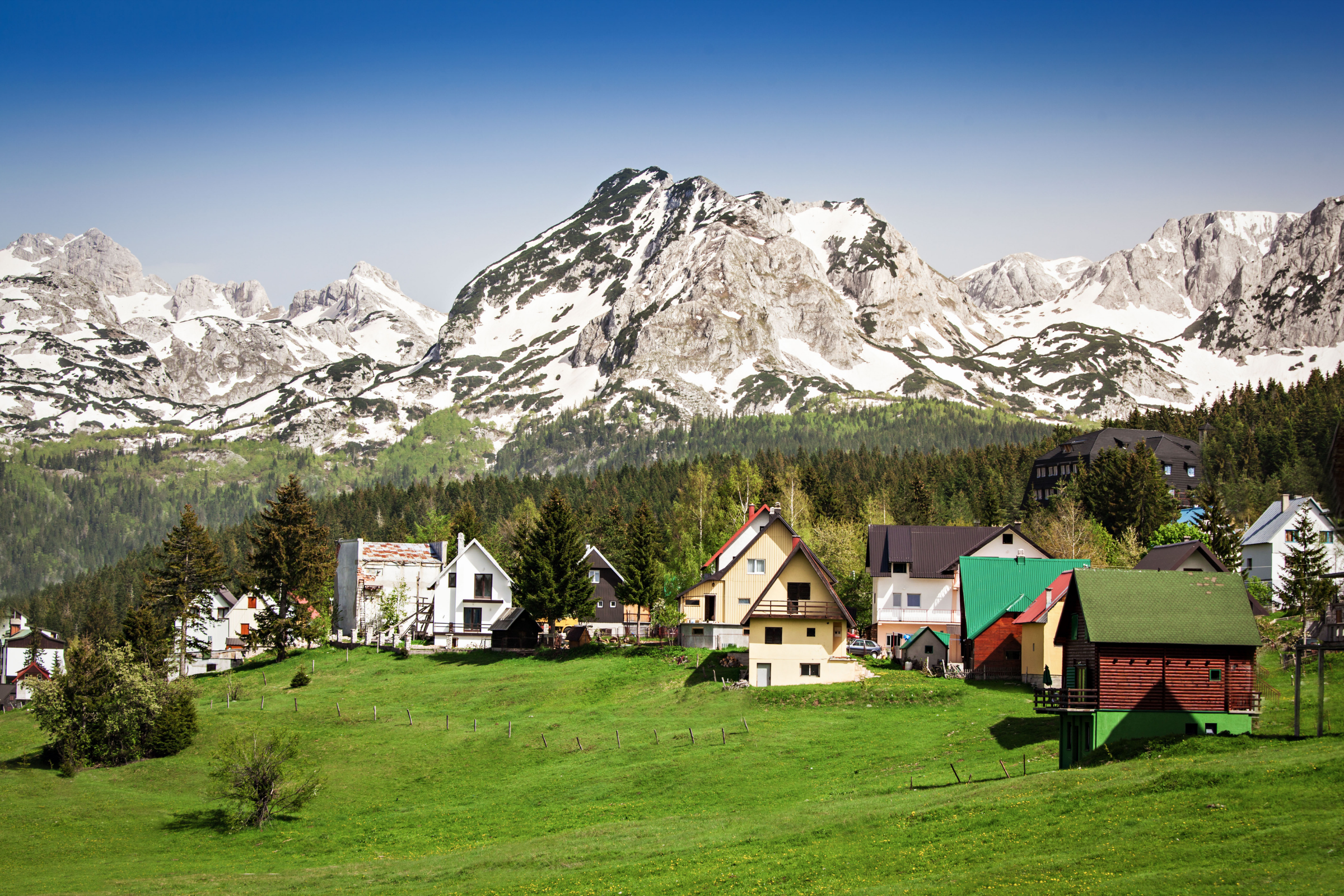 zabljak (4).webp